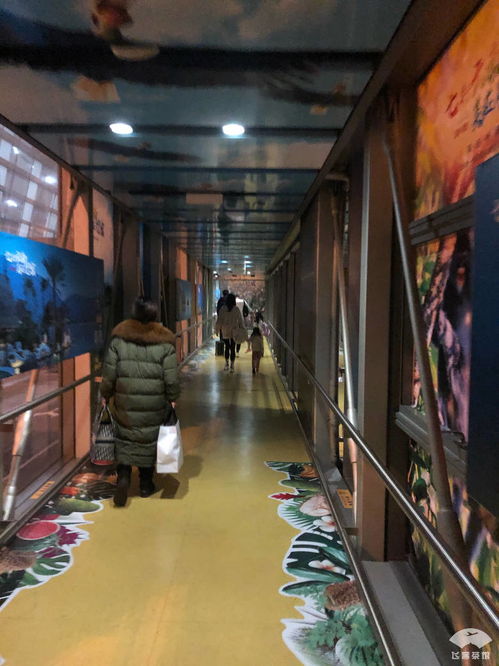 無(wú)愧五星航司稱號(hào) 非黃金航線的精品服務(wù)與專業(yè)倉(cāng)儲(chǔ)