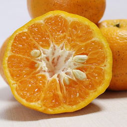 優質農產品助力精準扶貧 新鮮當季水果與蔬菜，脆甜可口全國包郵