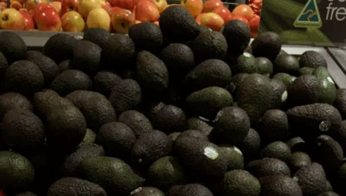 澳洲牛肉價格將上漲，果蔬價格有望下跌 市場波動背后的原因與展望